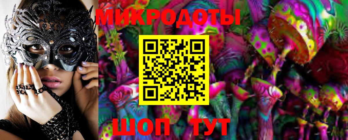 Псилоцибиновые грибы мицелий Холмск